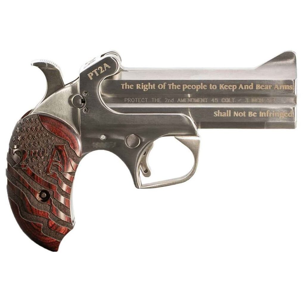 Bond Arms Protect the 2nd Amendment