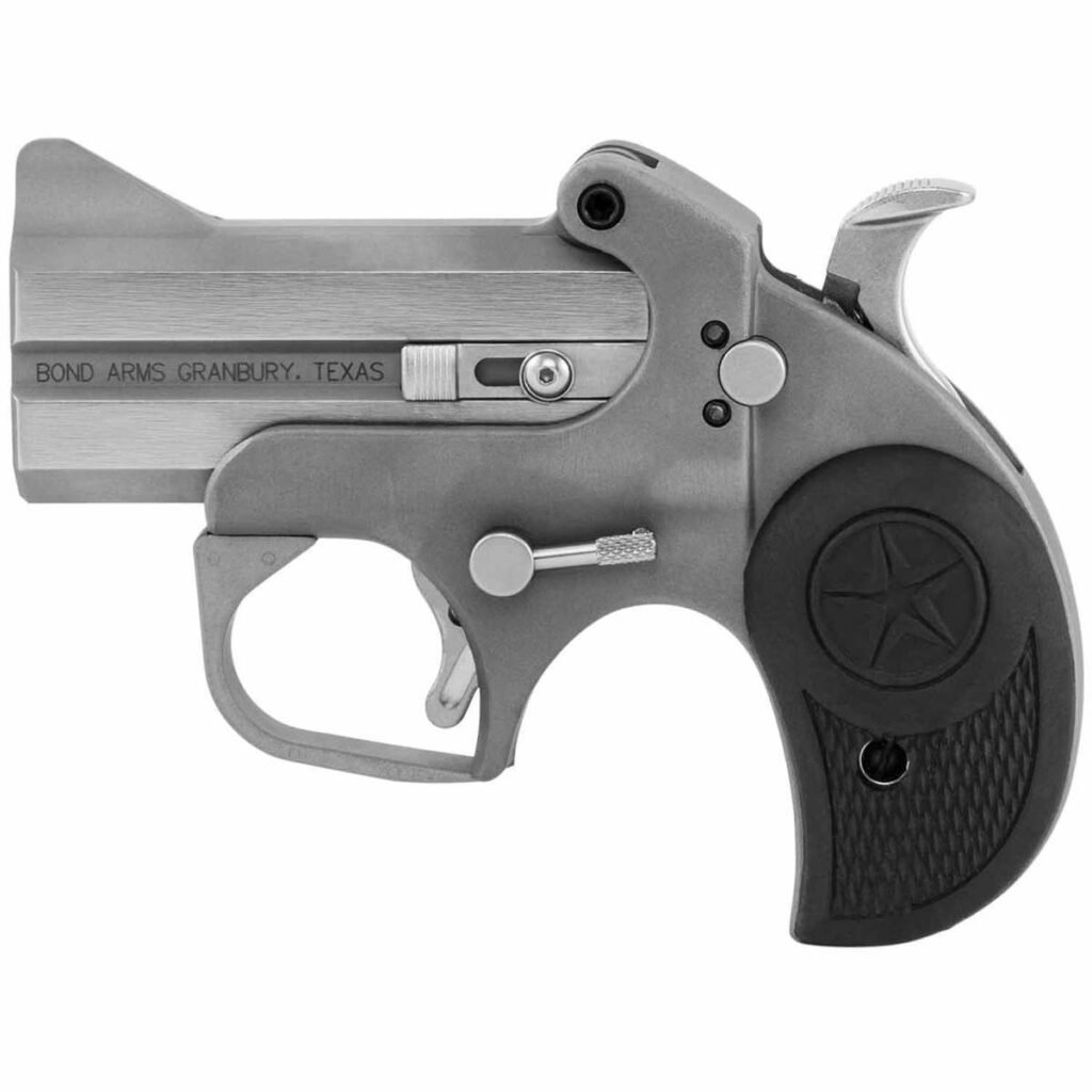 Bond Arms Rowdy BARW .45 Colt/.410 3-Inch Stainless Pistol