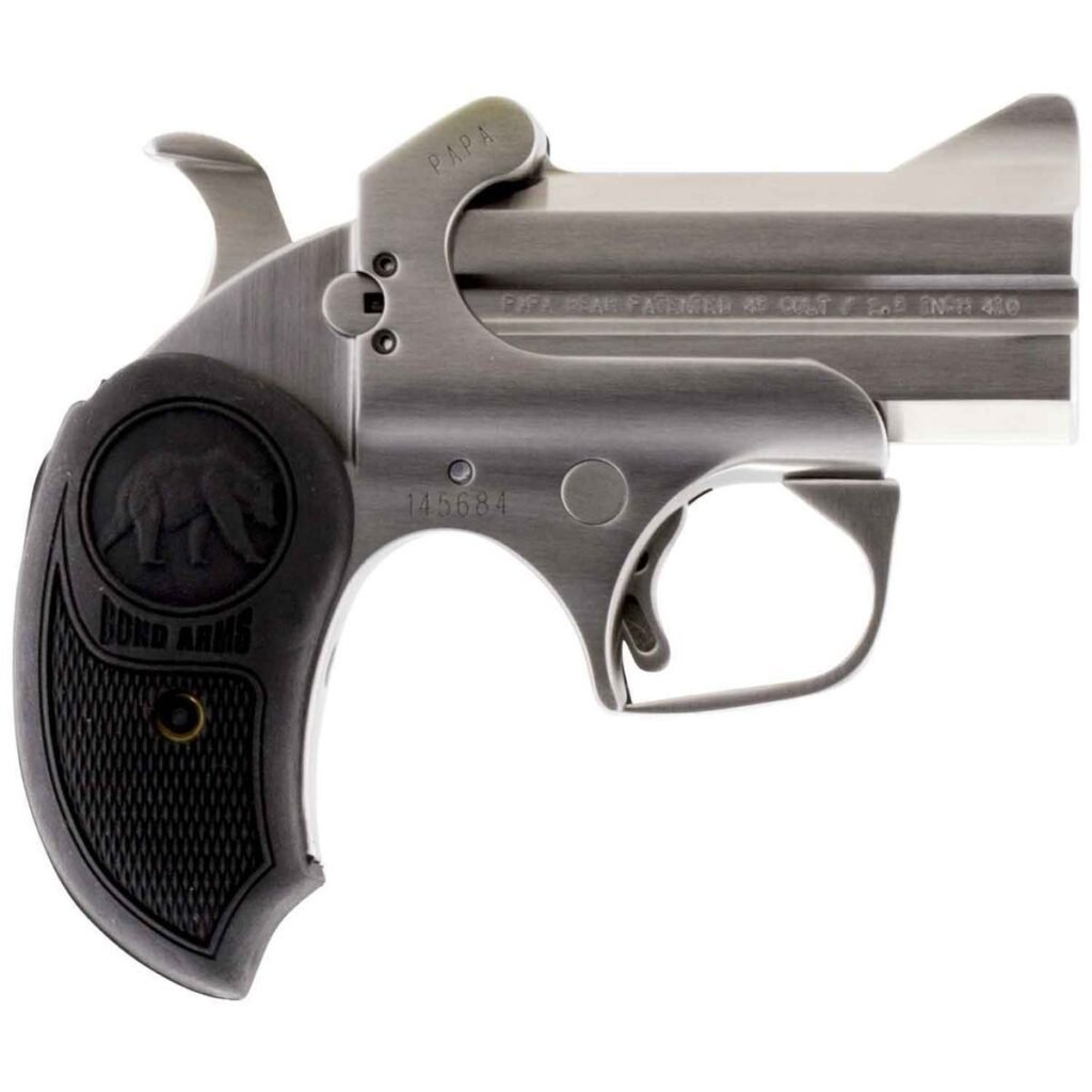 Bond Arms Papa Bear