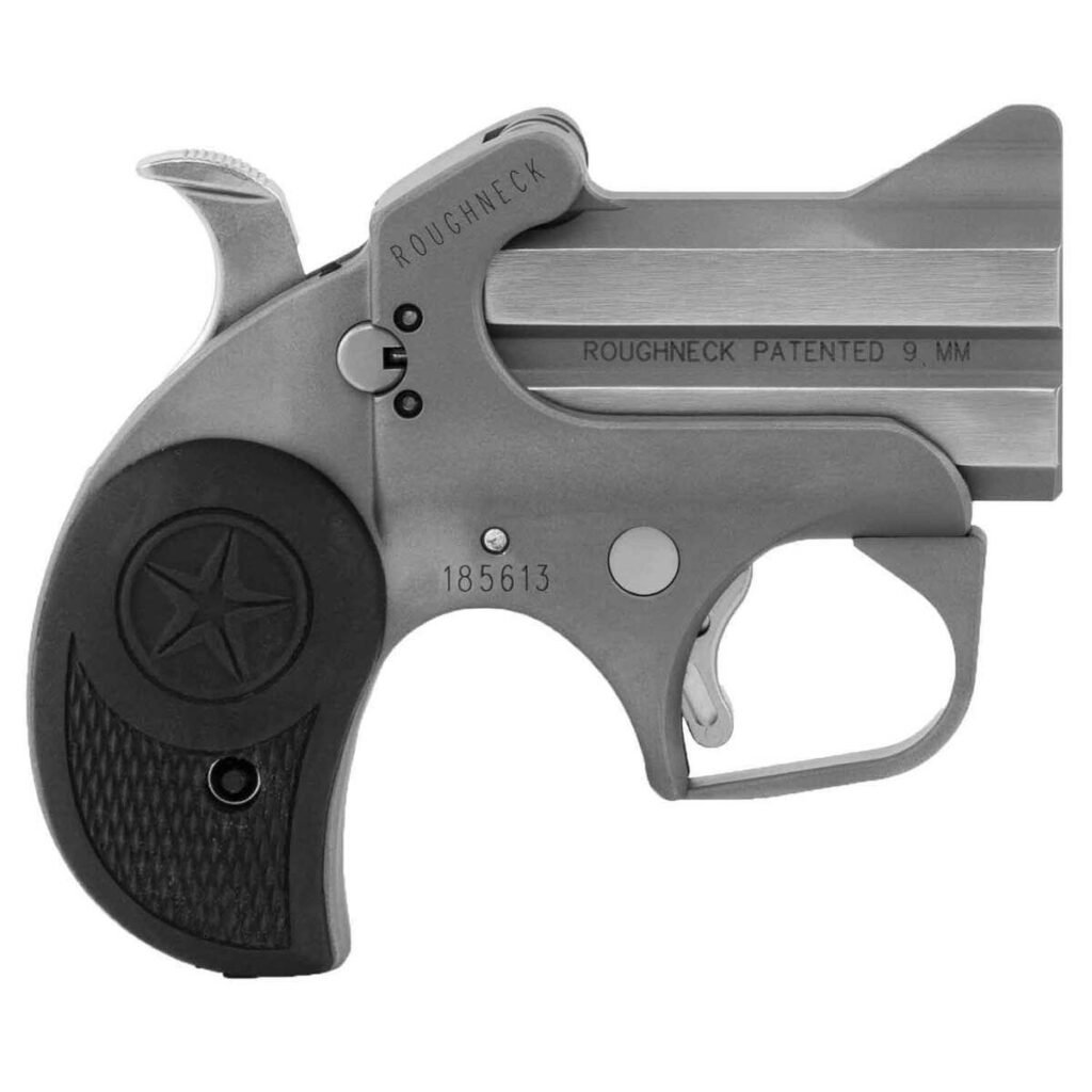 Bond Arms Roughneck 9mm Luger 2.5-Inch Stainless Break Action